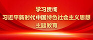 男的把女的操到爽网站免费学习贯彻习近平新时代中国特色社会主义思想主题教育_fororder_ad-371X160(2)